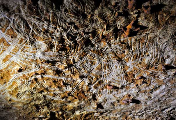Flutings at Rouffignac.  Both children and adults created cave art known as finger flutings in the French caverns of Rouffignac roughly 13,000 years ago. Credit: Jessica Cooney / Leslie van Gelder. (Click on image to view larger.)